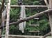 Zoo_Aalborg - Bild 10