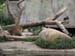Zoo_Aalborg - Bild 12