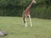 Zoo_Aalborg - Bild 17