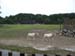 Zoo_Aalborg - Bild 27