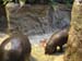 Zoo_Aalborg - Bild 31
