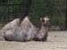 Zoo_Aalborg - Bild 32