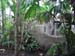 Zoo_Aalborg - Bild 38