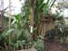 Zoo_Aalborg - Bild 39