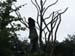 Zoo_Aalborg - Bild 6