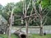 Zoo_Aalborg - Bild 8