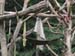 Zoo_Aalborg - Bild 9